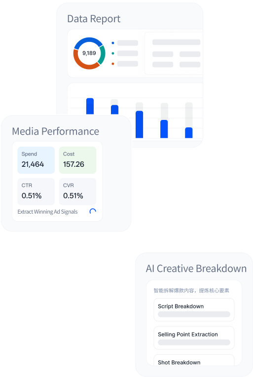 Data Report